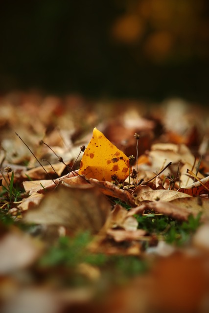 佛得角主帅：我们知道对阵西班牙会很艰难，但并非不可能赢